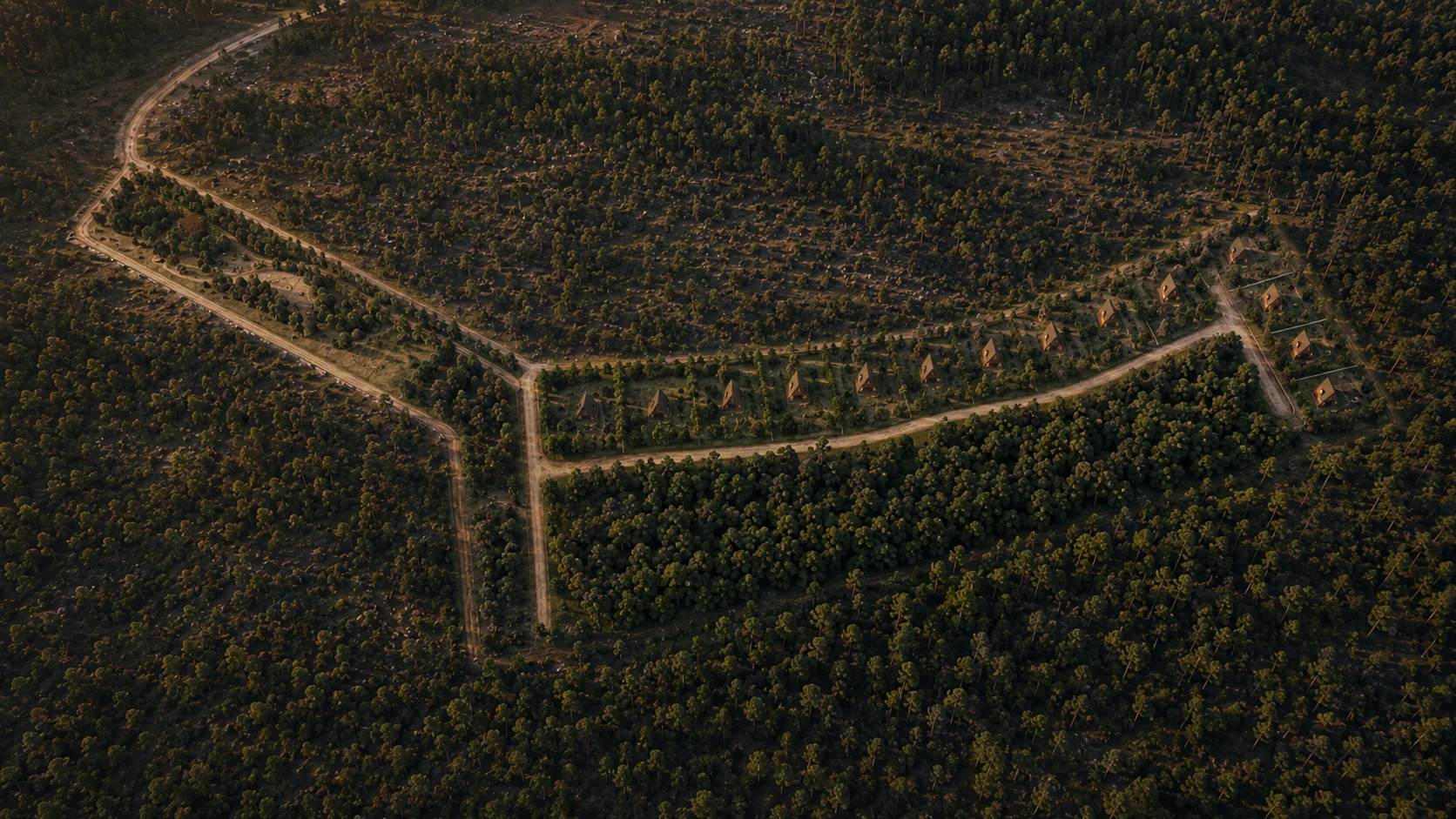 Mapa conceptual del desarrollo Coyote 61